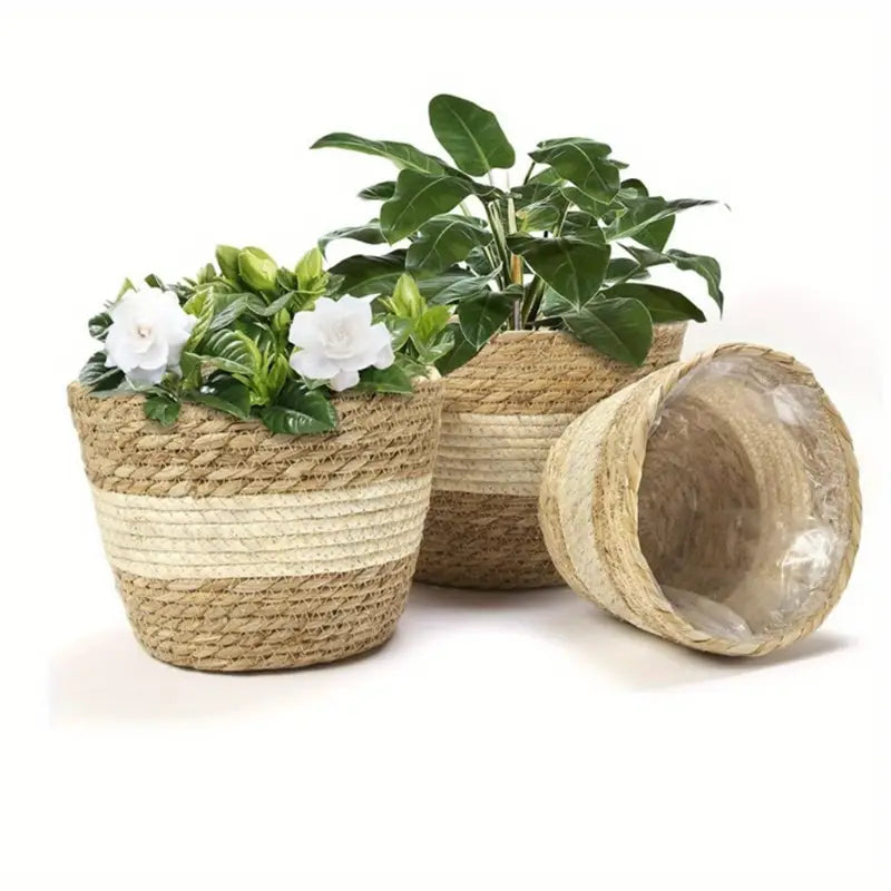 Avtoit | Decorative plant baskets made of seagrass in a set of 3 – Handwoven flower pots with foil insert