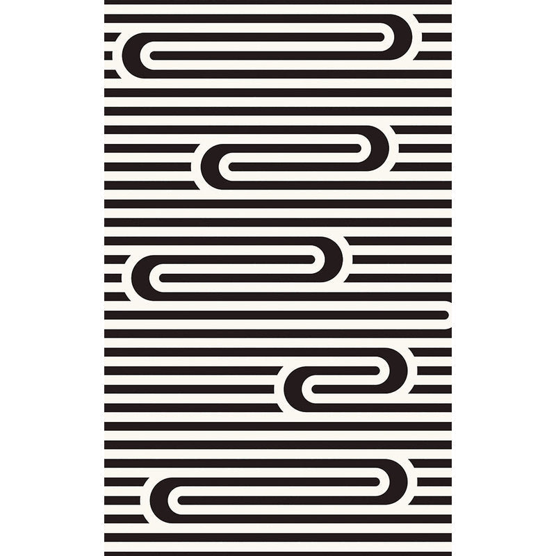 Avtoit | Modern Striped Pattern Carpet Black and White Polyester Carpet Washable Pet Friendly Non-Slip Area Rug for Living Room