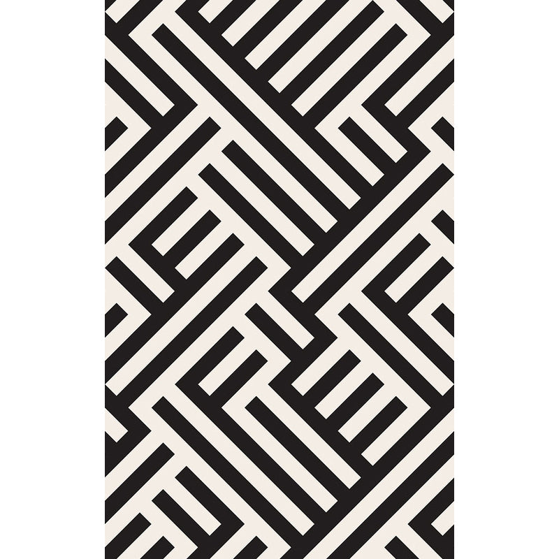 Avtoit | Modern Striped Pattern Carpet Black and White Polyester Carpet Washable Pet Friendly Non-Slip Area Rug for Living Room