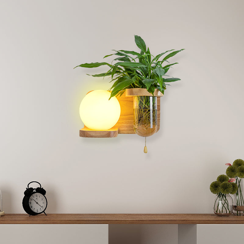 Avtoit | Wood Globe/Cylinder Wall Sconce Nordic Cream Glass 1 Light Bedroom Wall Lamp with Plant Pot and Pull Chain