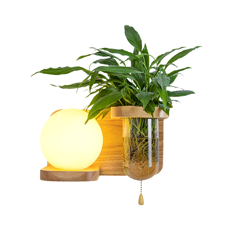 Avtoit | Wood Globe/Cylinder Wall Sconce Nordic Cream Glass 1 Light Bedroom Wall Lamp with Plant Pot and Pull Chain