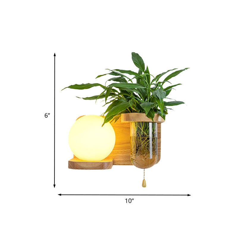 Avtoit | Wood Globe/Cylinder Wall Sconce Nordic Cream Glass 1 Light Bedroom Wall Lamp with Plant Pot and Pull Chain