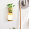Avtoit | Nordic Cylinder Wall Lamp 1-Head Opal Glass Wall Lighting in Wood with Clear Glass Plant Cup