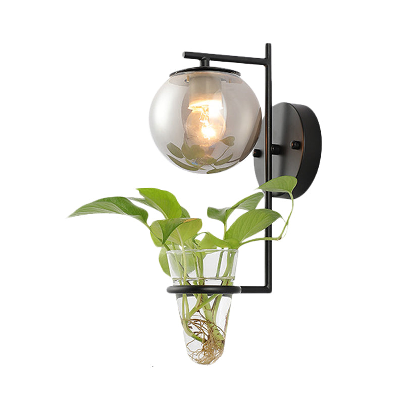 Avtoit | Gold/Black Globe Wall Light Antique Cream/Smoke Grey Glass 1-Head Bedroom Wall Lamp with Clear Glass Plant Cup