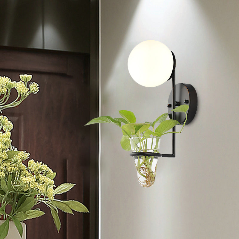 Avtoit | 1 Bulb Wall Lamp Industrial Global Cream/Smoke Grey Glass Wall Light in Black/Gold with Clear Glass Plant Cup
