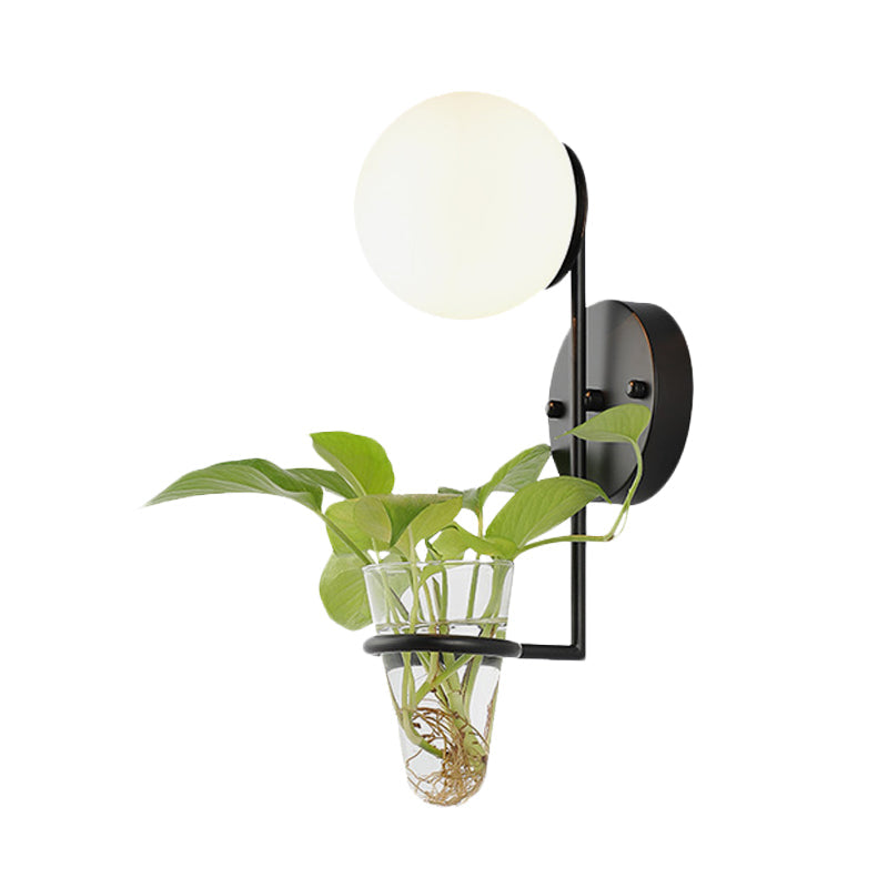 Avtoit | 1 Bulb Wall Lamp Industrial Global Cream/Smoke Grey Glass Wall Light in Black/Gold with Clear Glass Plant Cup