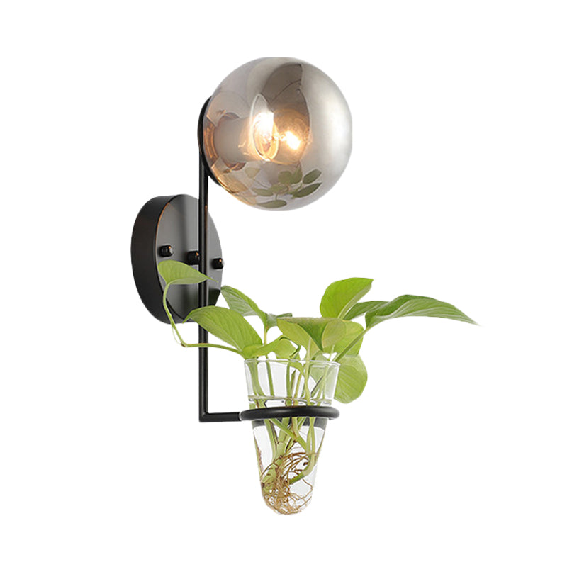 Avtoit | 1 Bulb Wall Lamp Industrial Global Cream/Smoke Grey Glass Wall Light in Black/Gold with Clear Glass Plant Cup
