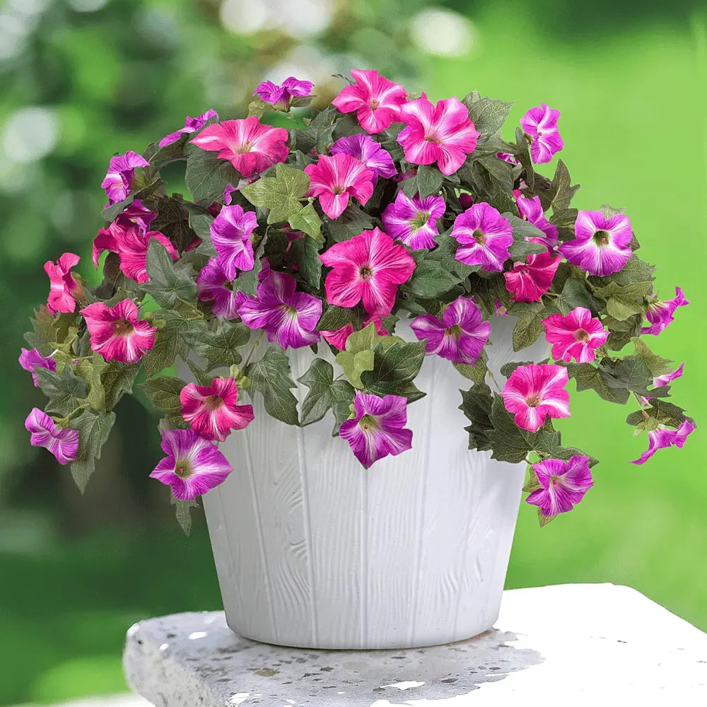 Avtoit | Artificial Spring Petunias made of Silk – Perfect for Calm Home Accents