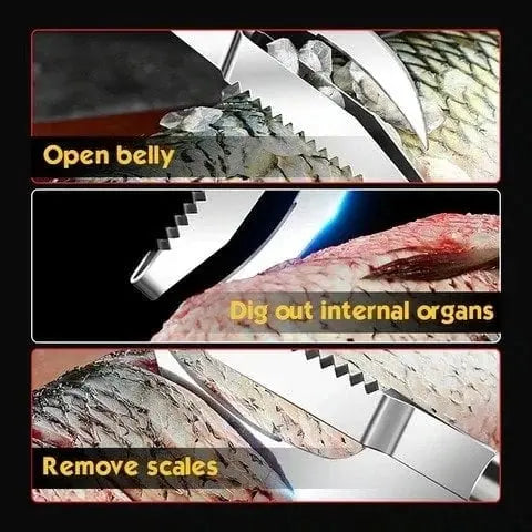 Avtoit | 3-in-1 Fish scaler made of stainless steel