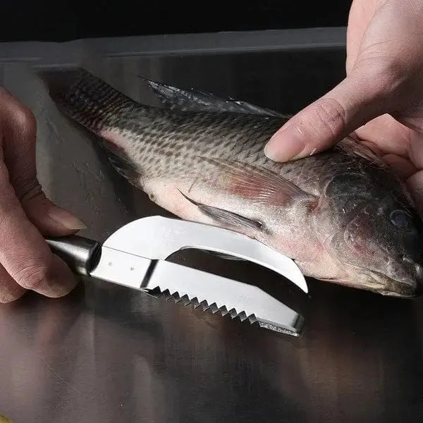 Avtoit | 3-in-1 Fish scaler made of stainless steel