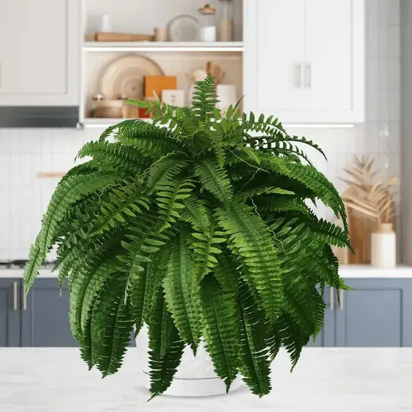 Avtoit | Life-like UV-resistant artificial Boston fern
