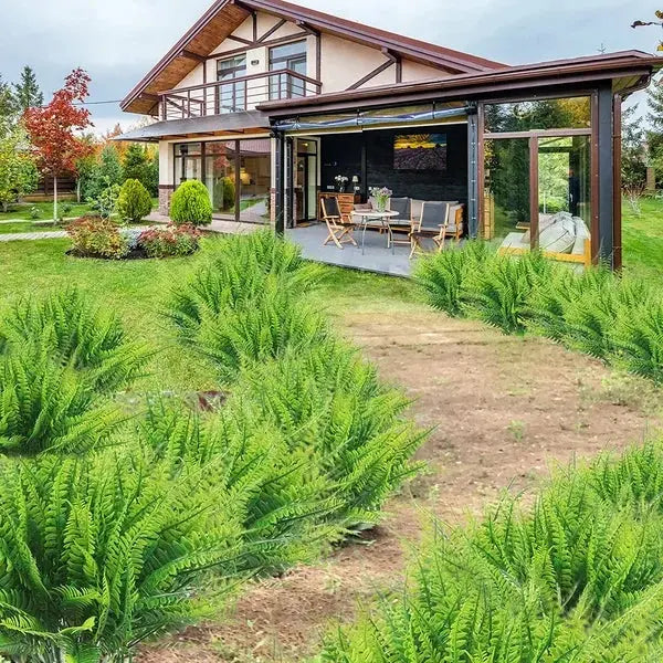 Avtoit | Life-like UV-resistant artificial Boston fern