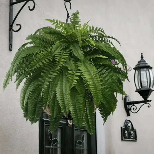 Avtoit | Life-like UV-resistant artificial Boston fern