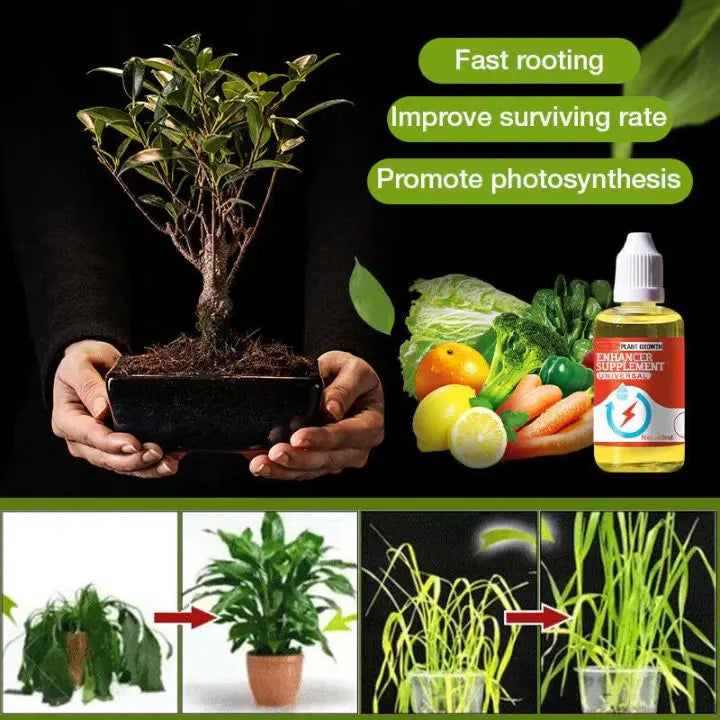 Avtoit | Plant Growth Enhancer – Organic Root Activator