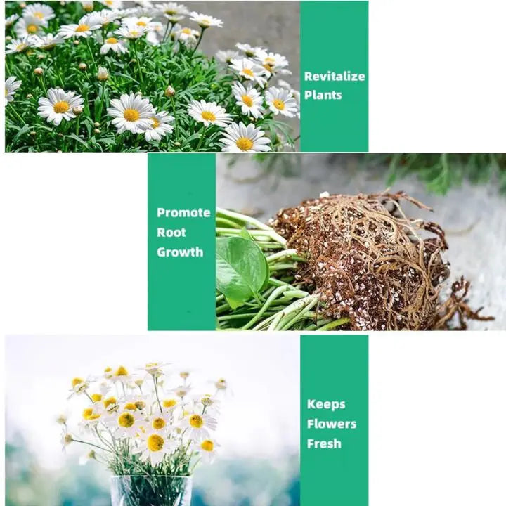 Avtoit | Plant Growth Enhancer – Organic Root Activator