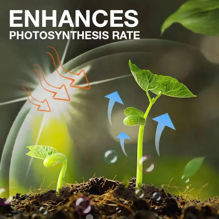 Avtoit | Plant Growth Enhancer – Organic Root Activator