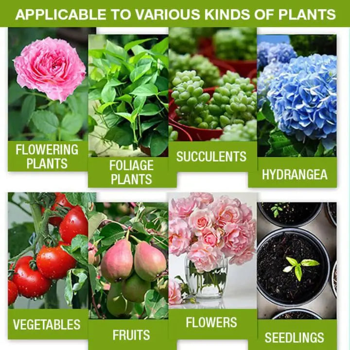 Avtoit | Plant Growth Enhancer – Organic Root Activator