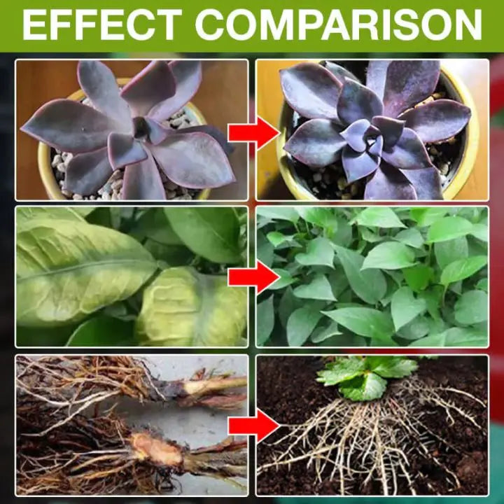 Avtoit | Plant Growth Enhancer – Organic Root Activator