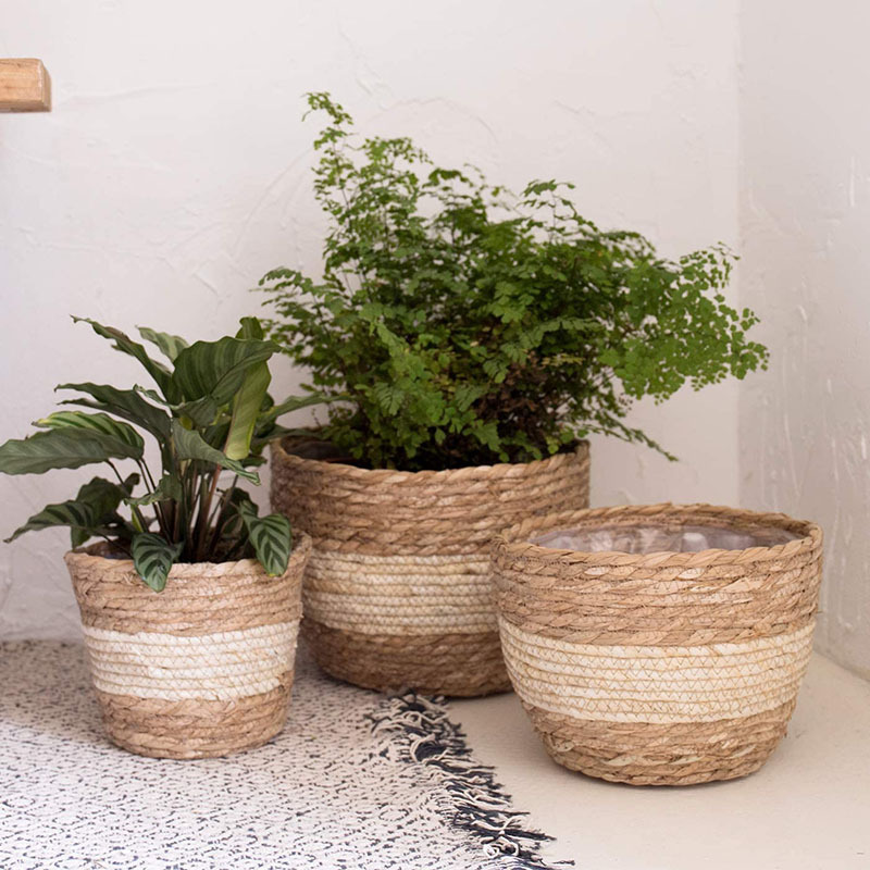 Avtoit | Decorative plant baskets made of seagrass in a set of 3 – Handwoven flower pots with foil insert