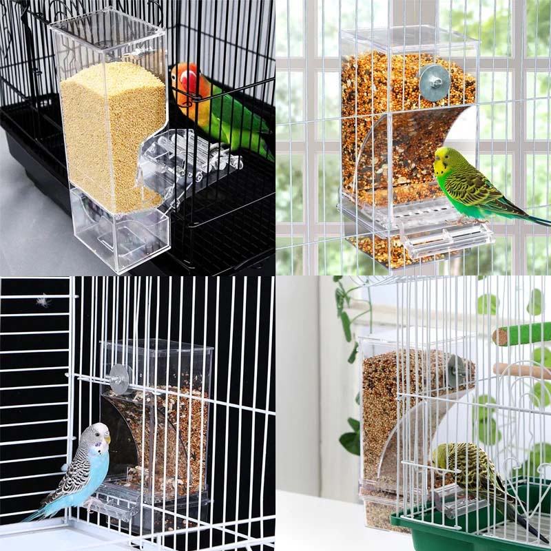 Avtoit | Automatic transparent bird feeder without spills