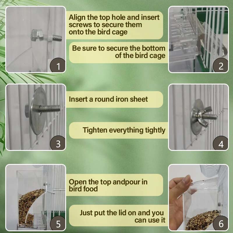 Avtoit | Automatic transparent bird feeder without spills