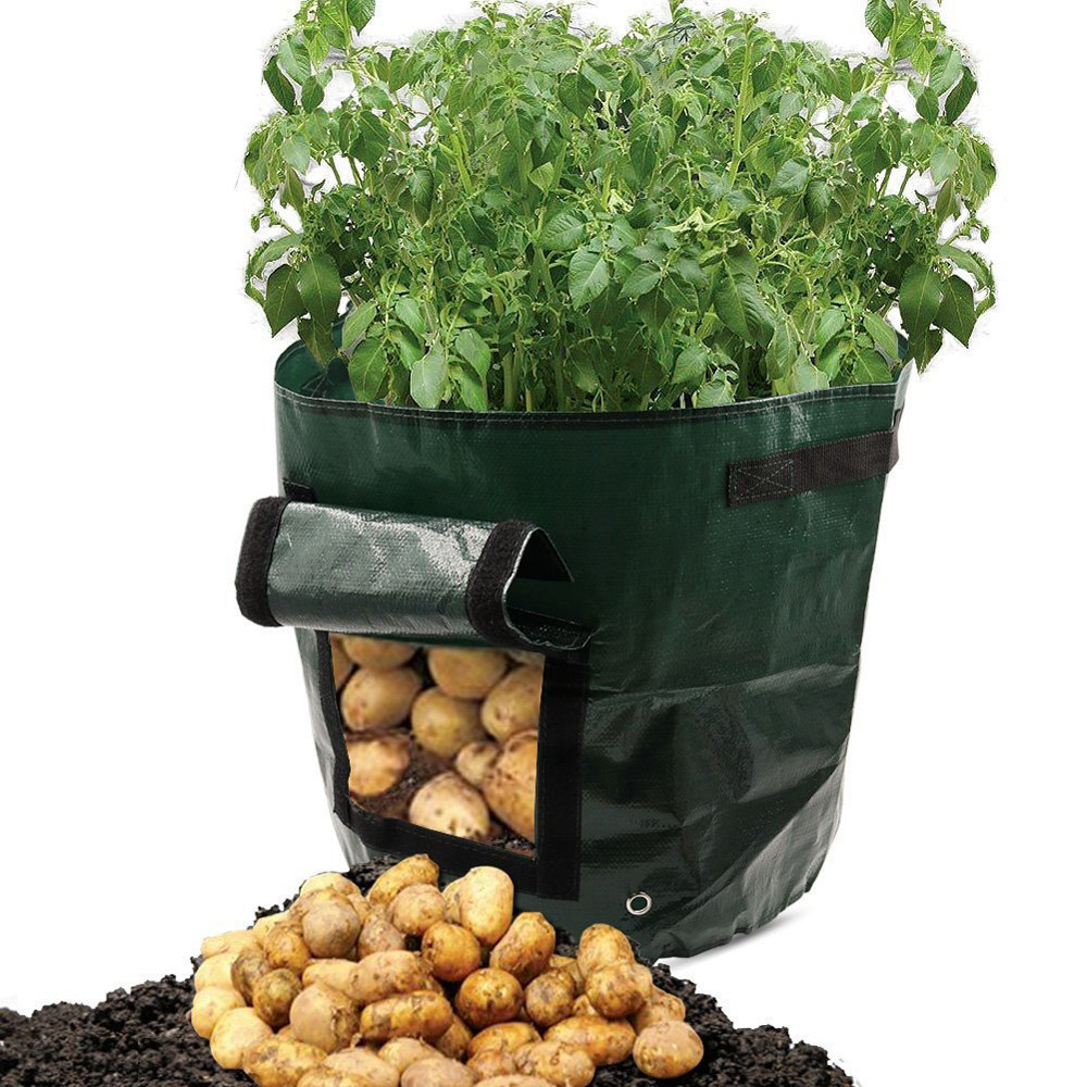 Avtoit | Planting bag for potatoes – Reusable and with viewing window