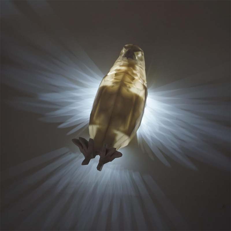 Avtoit | Spritz-cast Owl Eagle Night Light