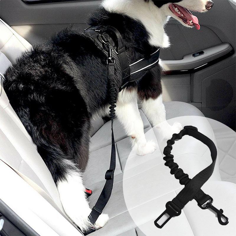 Avtoit | Adjustable Safety Belts for Dogs