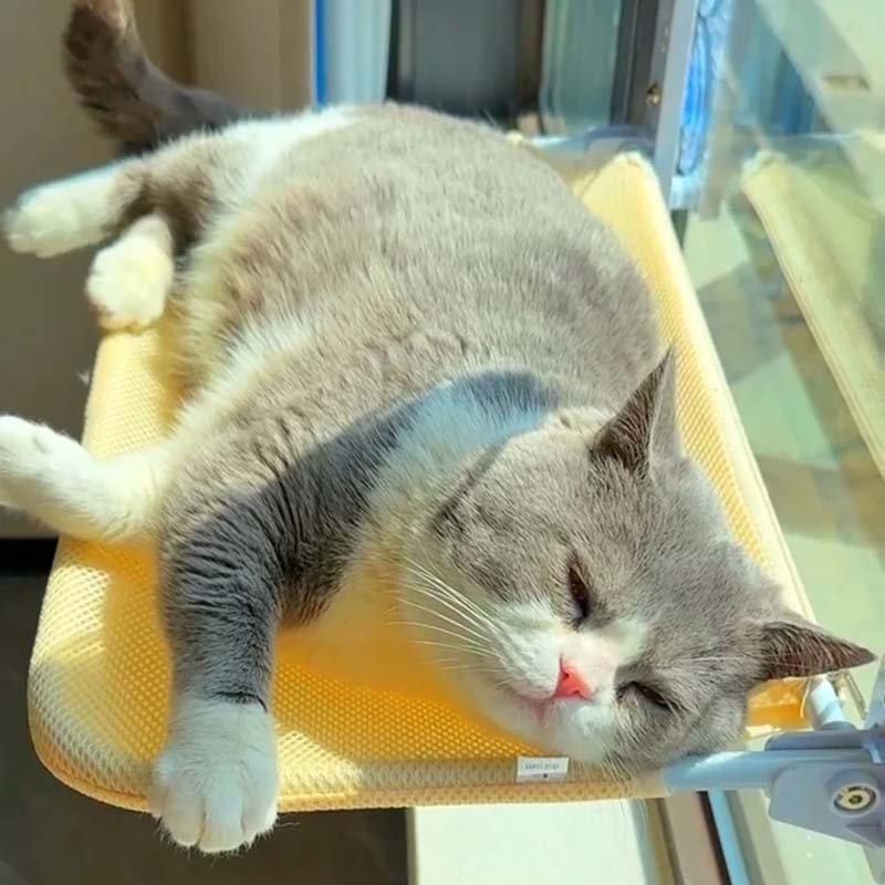 Avtoit | Foldable Cat Window Bed