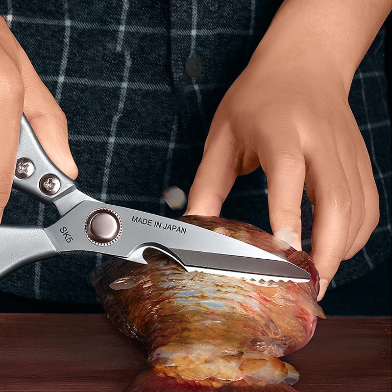 Avtoit | Stainless Steel Kitchen Scissors
