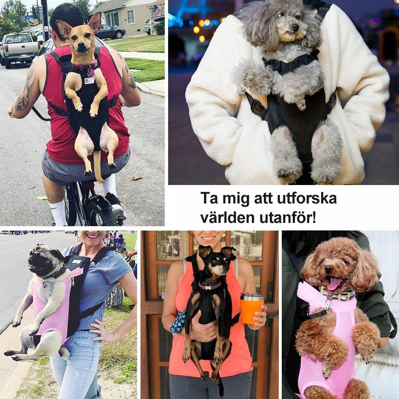 Avtoit | Pet Backpack Front