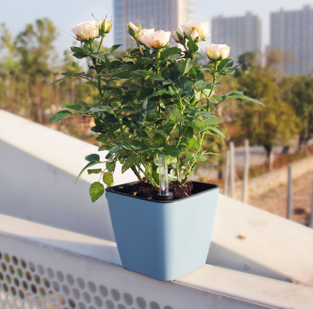 Avtoit | Flower pot with irrigation system – Self-watering plant pot for indoor and outdoor use
