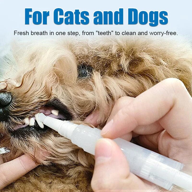 Avtoit | New Improved Pet Toothbrush Pen