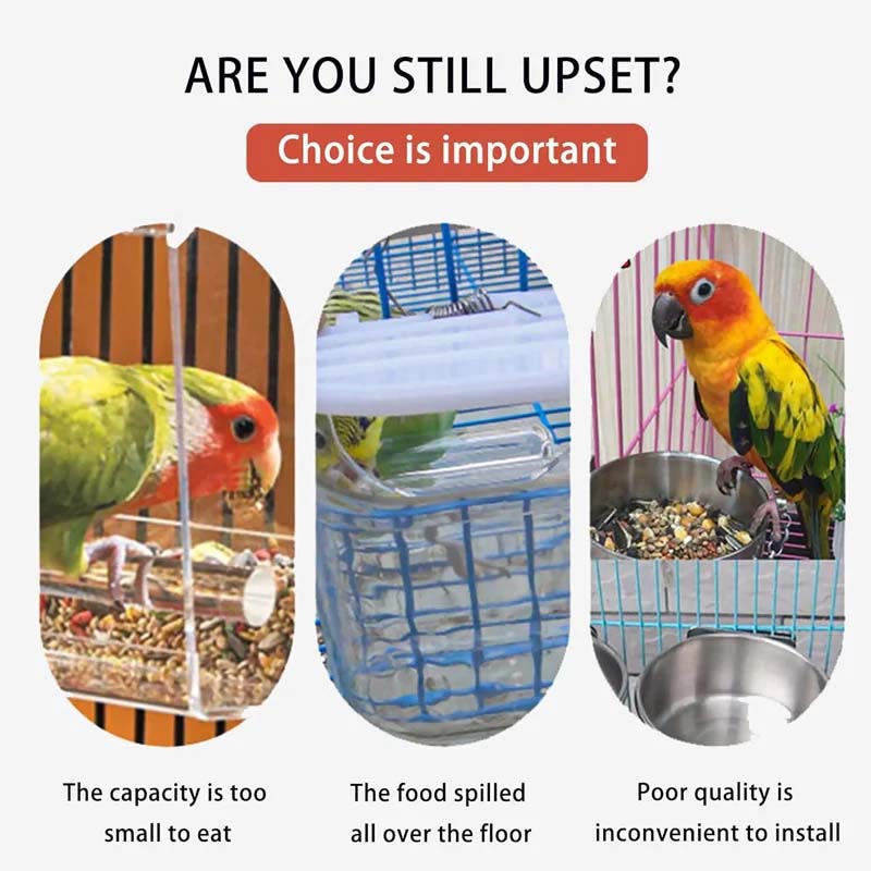 Avtoit | Automatic transparent bird feeder without spills