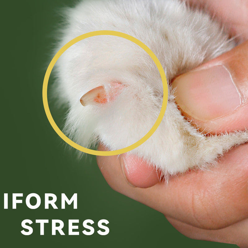 Avtoit | Effortless Pet Nail Clipper
