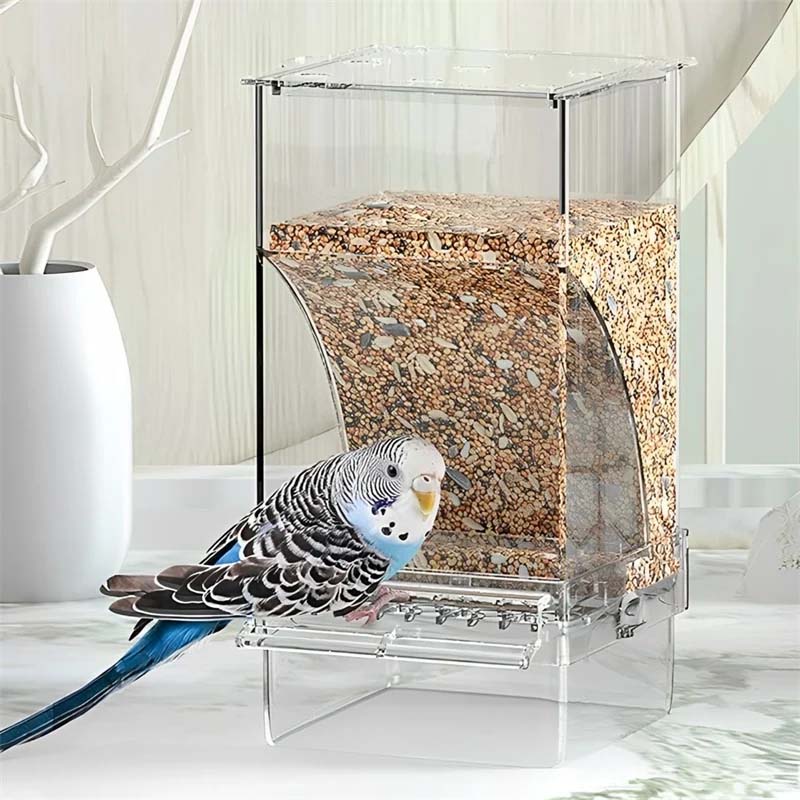 Avtoit | Automatic transparent bird feeder without spills