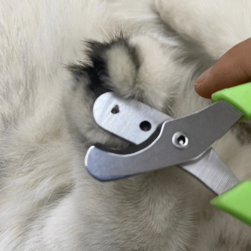 Avtoit | Effortless Pet Nail Clipper