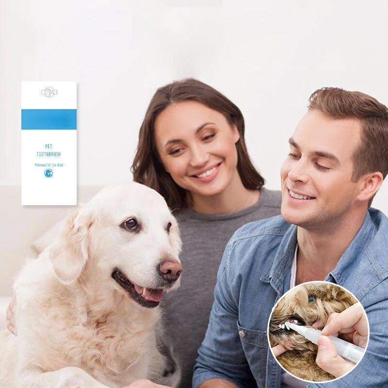 Avtoit | New Improved Pet Toothbrush Pen