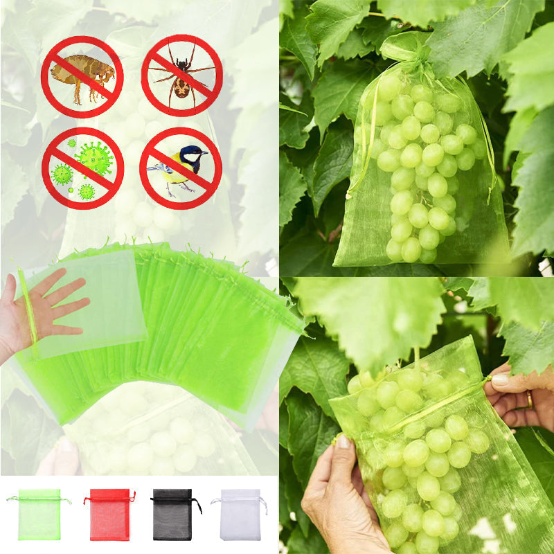 Avtoit | Fruit Protection Bag (100 PCS)