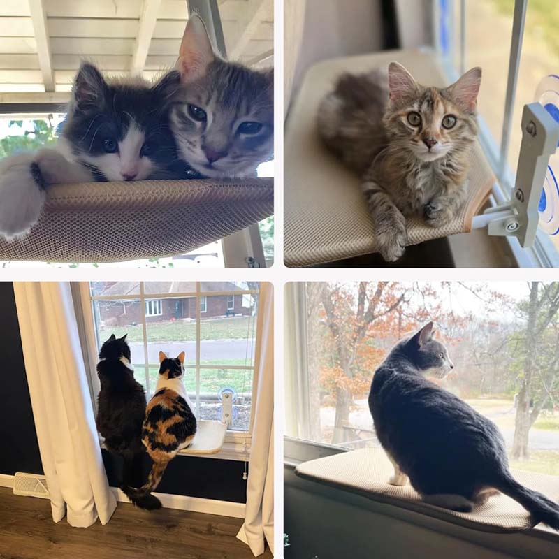 Avtoit | Foldable Cat Window Bed