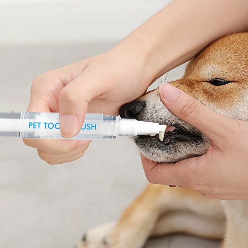 Avtoit | New Improved Pet Toothbrush Pen