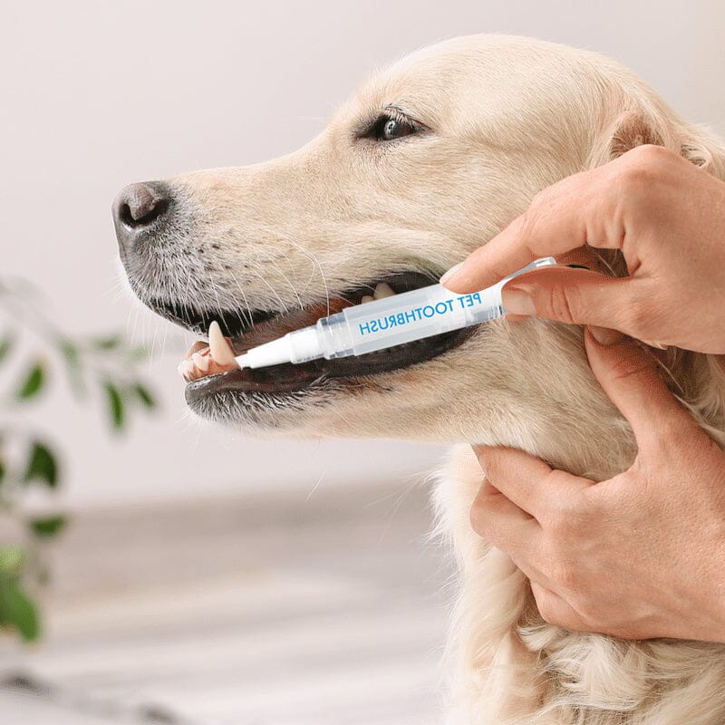 Avtoit | New Improved Pet Toothbrush Pen