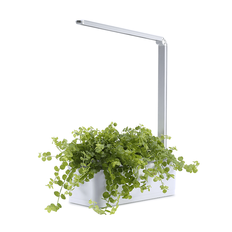 Avtoit | Hydroponic Systems with Led Plant Grow Light, Intelligent Watering, Water Shortage Reminder and Timer Switch (with US Standard Plug, 110v~220v)