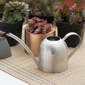 Avtoit | Stainless Steel Watering Can with Flexible Neck | Modern Design | Perfect Watering | Rustproof