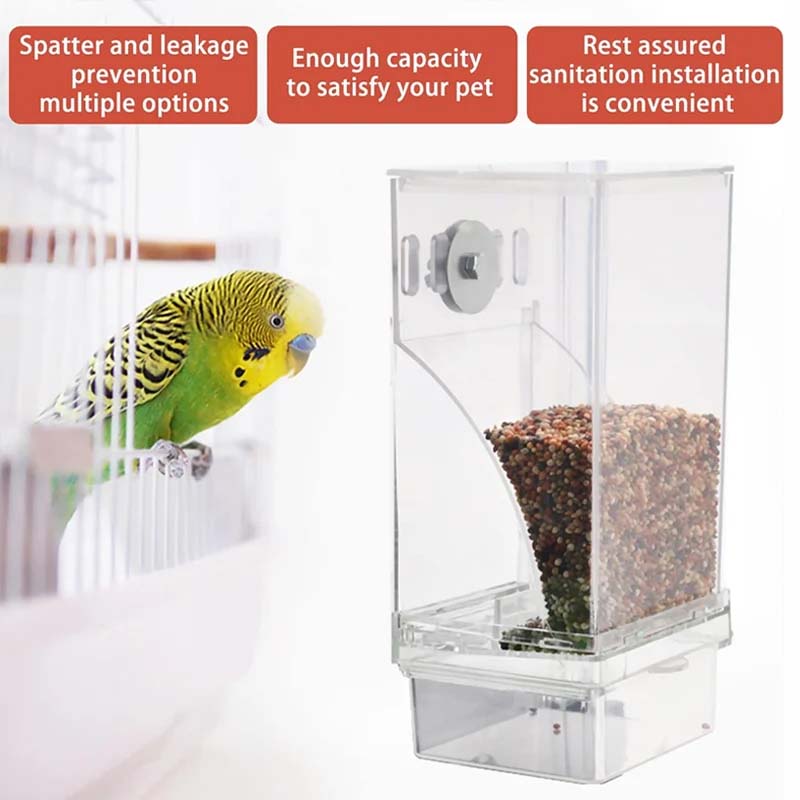 Avtoit | Automatic transparent bird feeder without spills