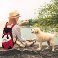 Avtoit | Portable backpack for dogs and cats on travels