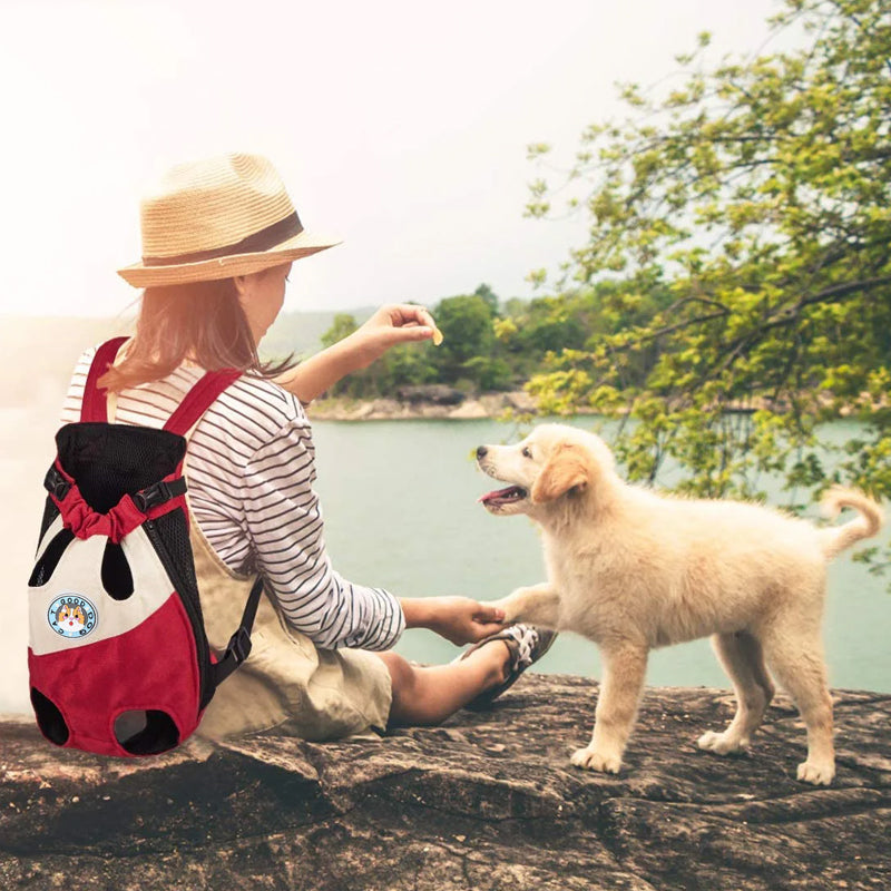 Avtoit | Portable backpack for dogs and cats on travels
