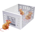 Avtoit | Automatic mouse trap with continuous cycle