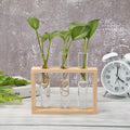 Avtoit | Test Tube Vase