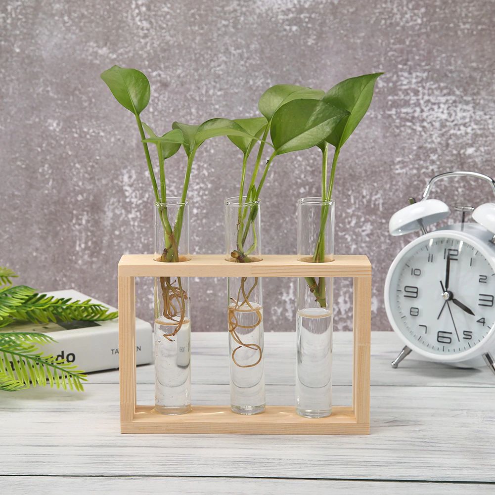 Avtoit | Test Tube Vase